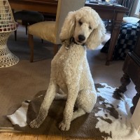 Photo of Atheling