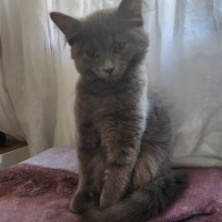 Photo of Winifred 