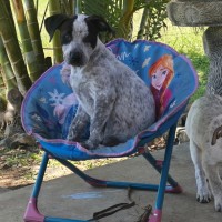 Photo of Skye