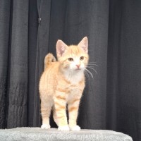 Photo of Tristan