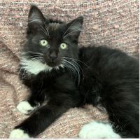 Photo of Sage & Rosemary 