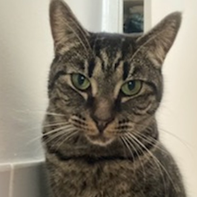 Photo of Millie