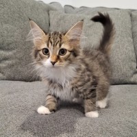 Photo of Winnie