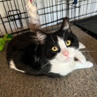 Photo of Felix   Can Transport To You