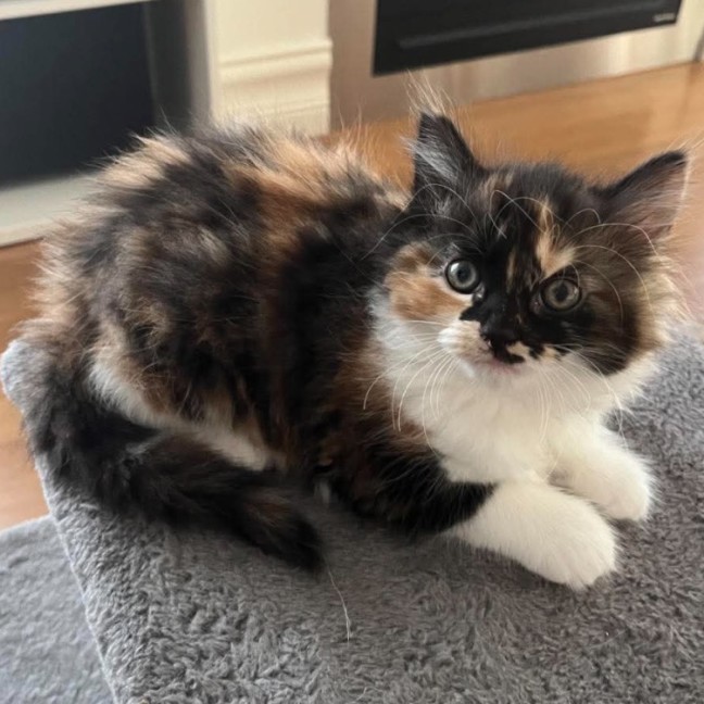 Photo of Bertha