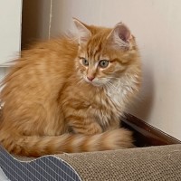 Photo of Tobias 💙