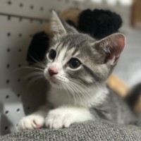 Photo of Bella 🌼🌻