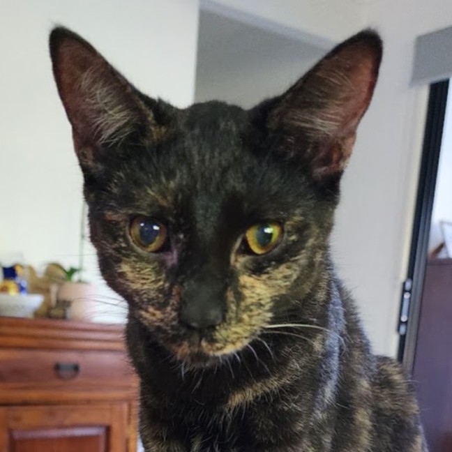 Photo of Astra