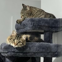 Photo of Rayne And River