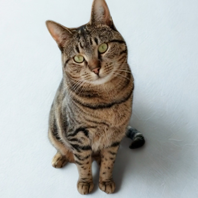 Photo of Maya