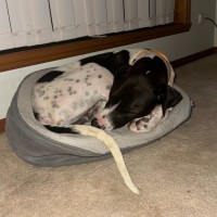 Photo of Bottletop Bill