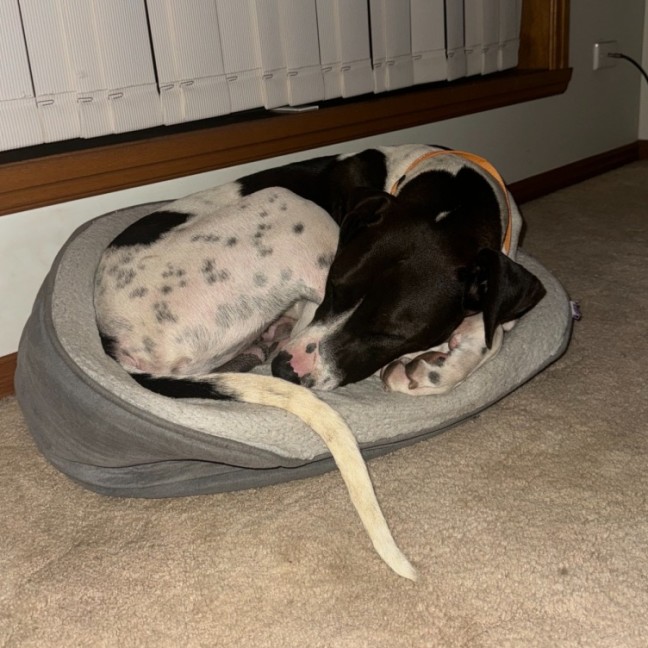 Photo of Bottletop Bill