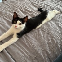 Photo of Candy Cane