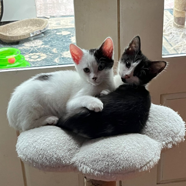 Photo of Adelina & Flora