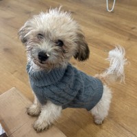 Photo of Eddie