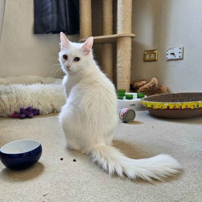 Photo of Ivy