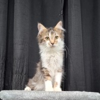 Photo of Hunter