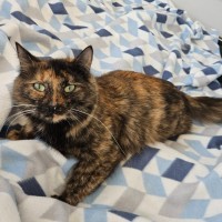 Photo of Duchess