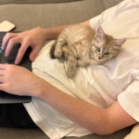 Photo of Peach