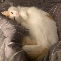 Photo of Wiggles 🐛