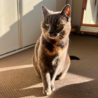 Photo of Filippa
