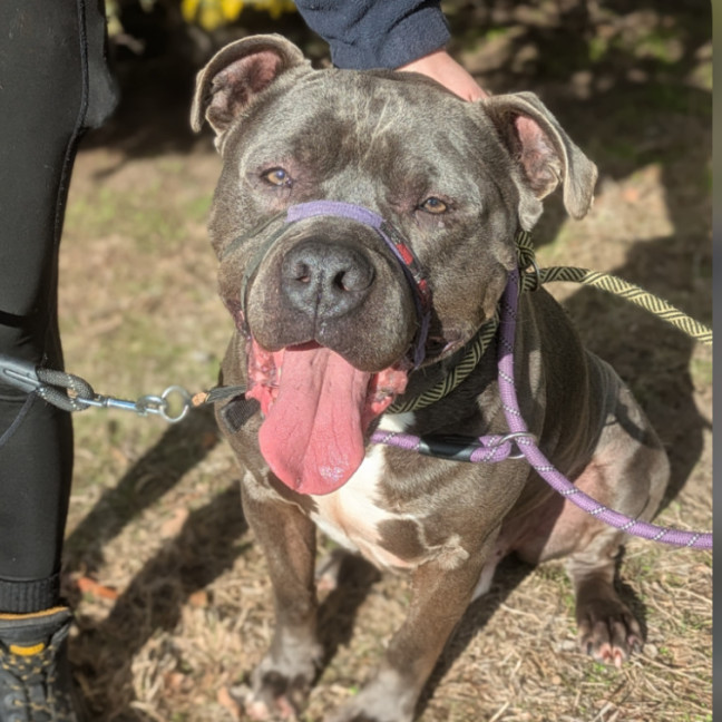 Photo of Zeus 