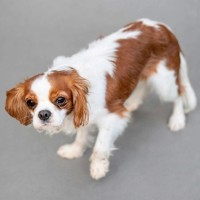 Photo of Libby