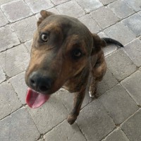 Photo of Kenzo