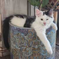 Photo of Charlie