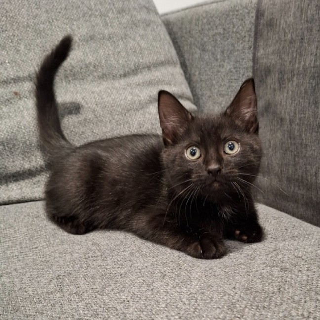 Photo of Freddy