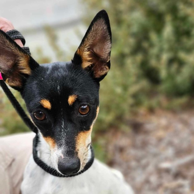 Photo of 🍣 Wasabi 5833 🍣