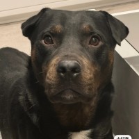 Photo of Turbo & Kiko