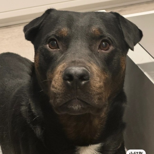 Photo of Turbo & Kiko