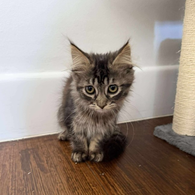 Photo of Phoenix 🥹🤗