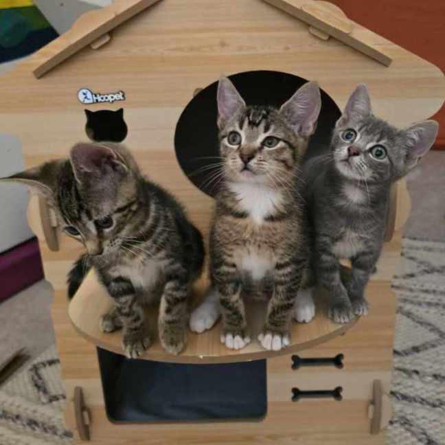 Photo of 🧡 Magnus 🧡