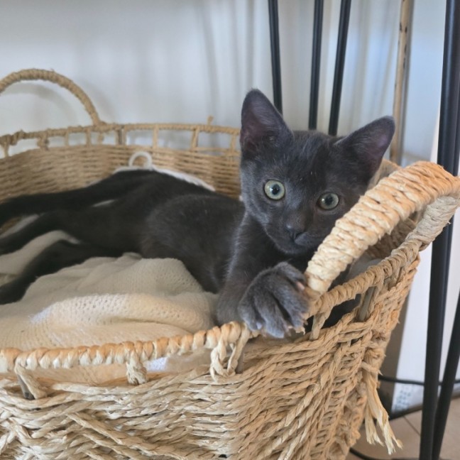 Photo of ♌️ Leo ♌️