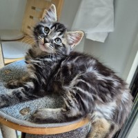 Photo of Cooper 💙