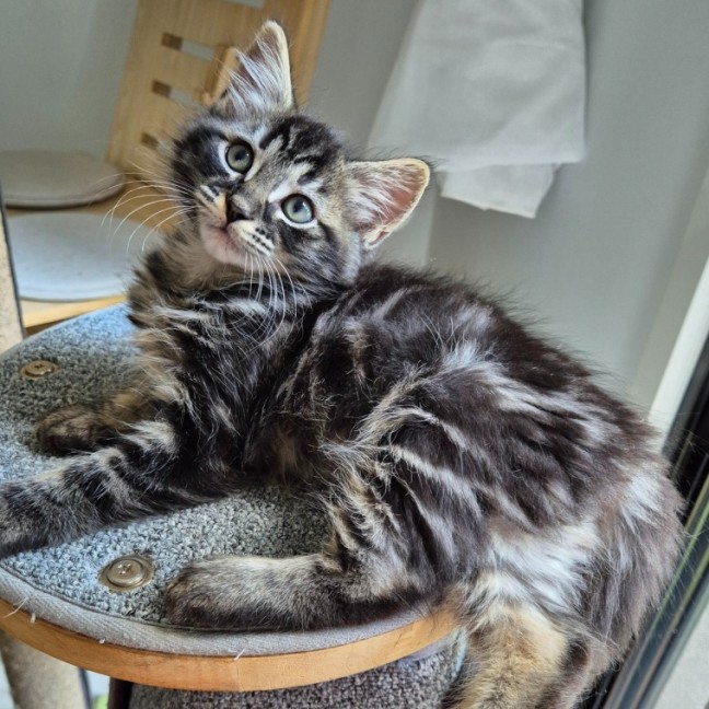 Photo of Cooper 💙