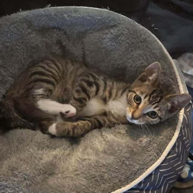 Photo of Taylor (Tay Tay)