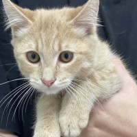 Photo of Gus