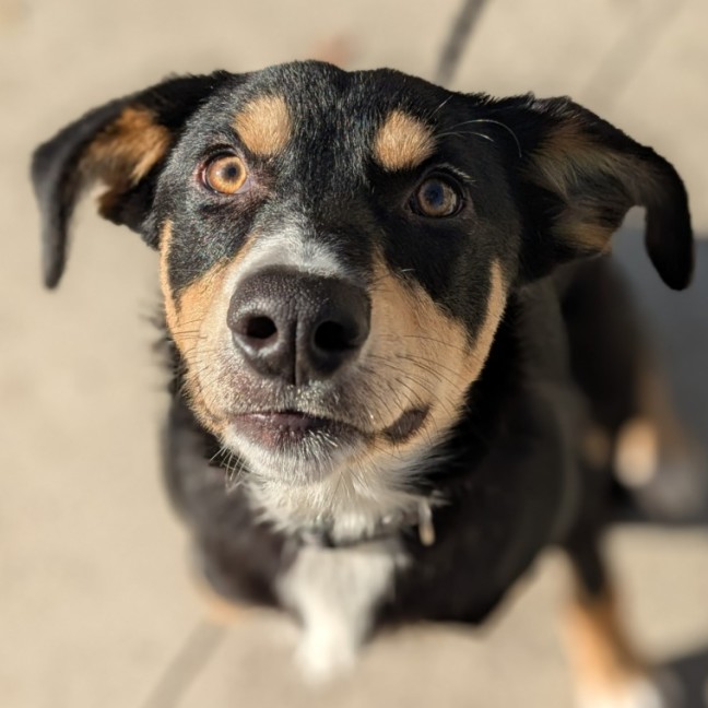 Photo of 🧨 Darragh 6114 🧨