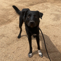 Photo of Jack & Deisel