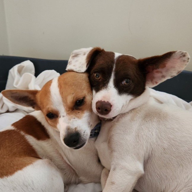 Photo of Dougie And Timmy