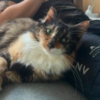 Photo of Bridget