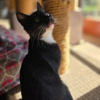 Photo of Colombus