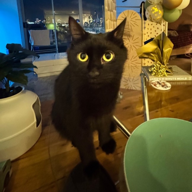 Photo of Penelope