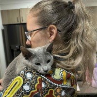 Photo of Skye 🦋🐈🐾