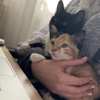 Photo of Haku And Amica