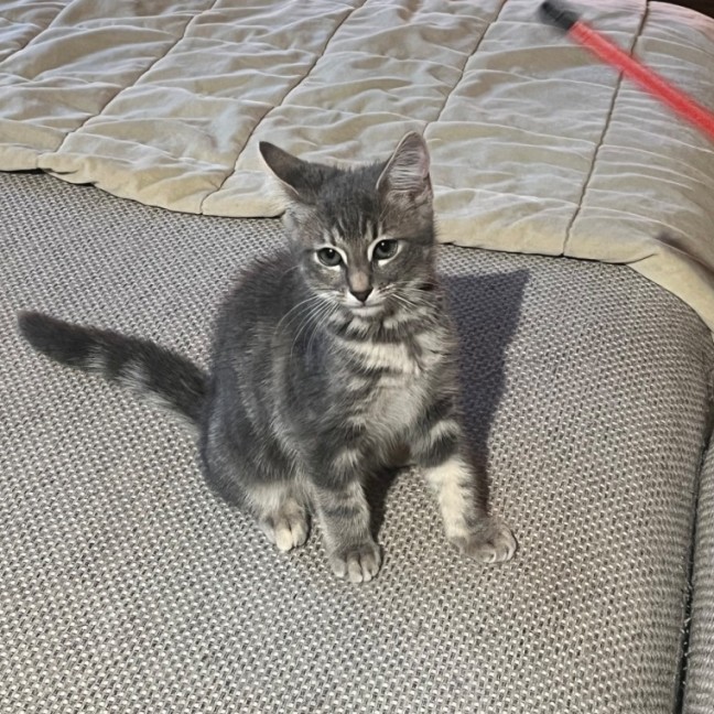 Photo of Lily