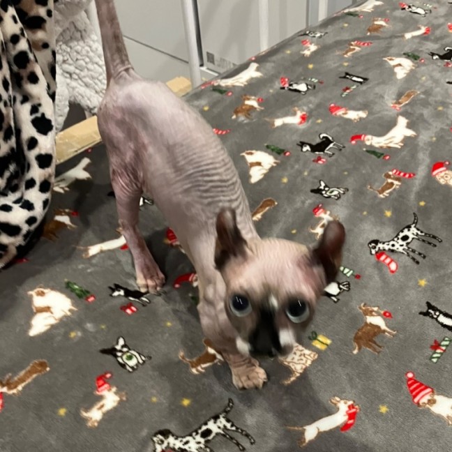 Photo of Chloe